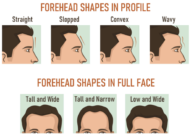 Face Reading: Fitur Dahi, Telinga, Mulut dan Bibir.