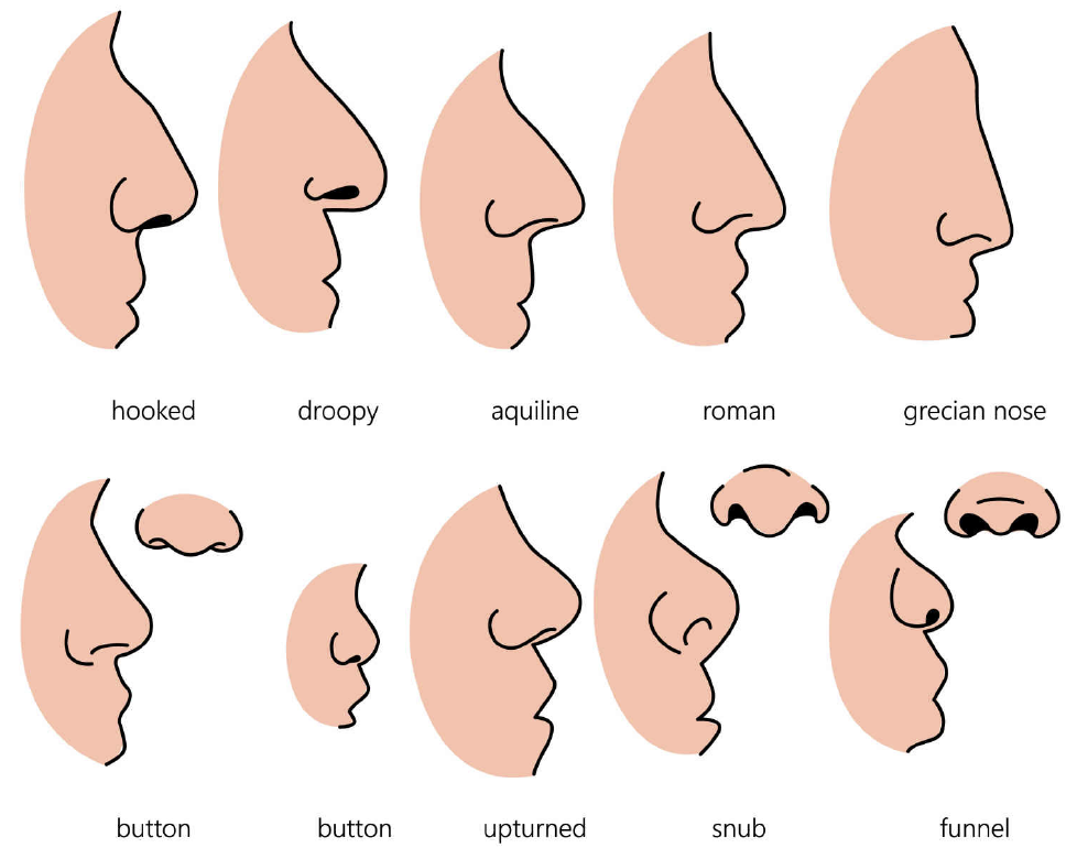 Face Reading: Fitur Hidung, Lidah, Dagu, Rahang, dan Rambut.