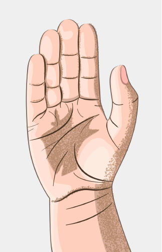 Palmistry: Membaca Ukuran dan Bentuk Tangan